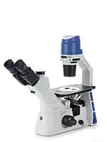 Oxion Inverso (fluorescence)