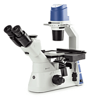 Oxion Inverso (fluorescence)