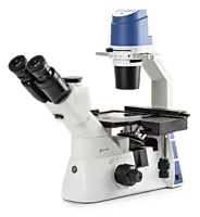 Oxion Inverso (fluorescence)