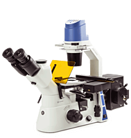 Oxion Inverso (fluorescence)