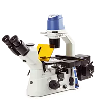 Oxion Inverso (fluorescence)