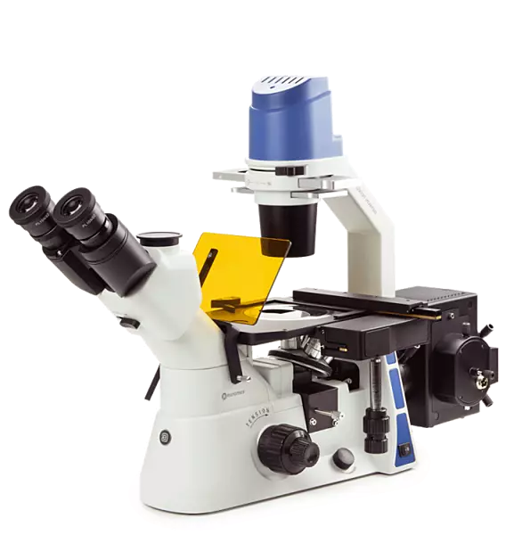 Oxion Inverso (fluorescence)