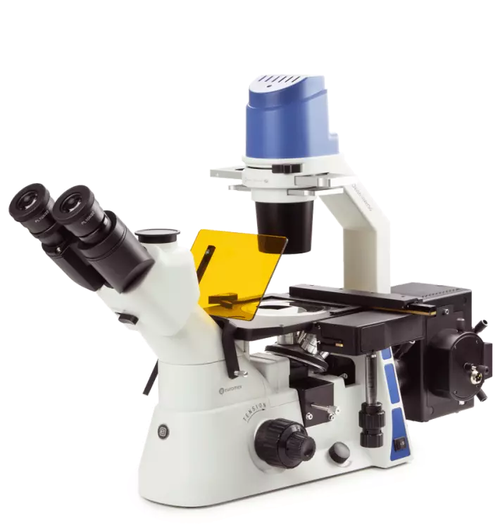 Oxion Inverso (fluorescence)