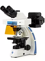 Oxion fluorescence