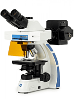 Oxion fluorescence Oxion fluorescence