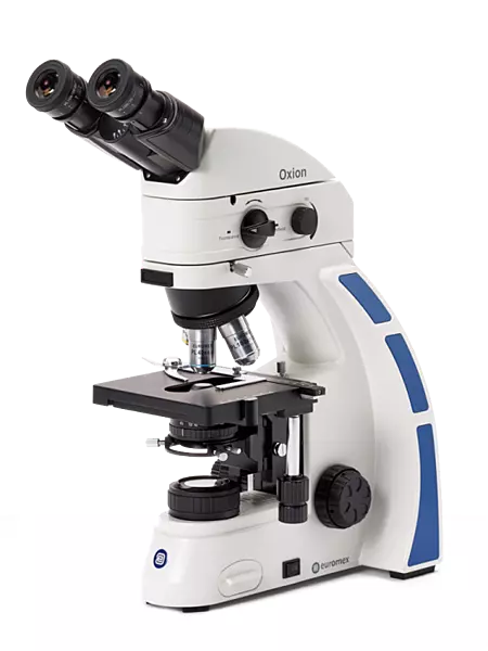 Oxion fluorescence