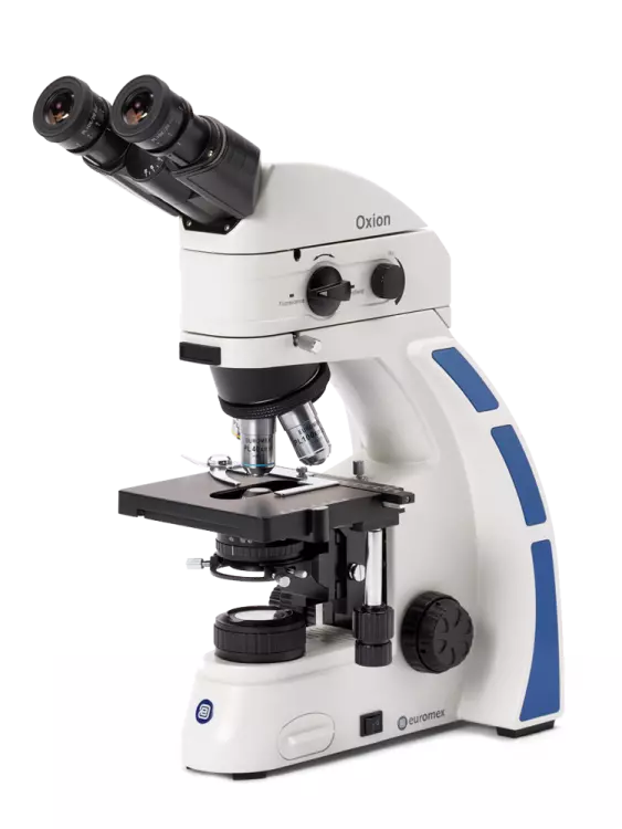 Oxion fluorescence