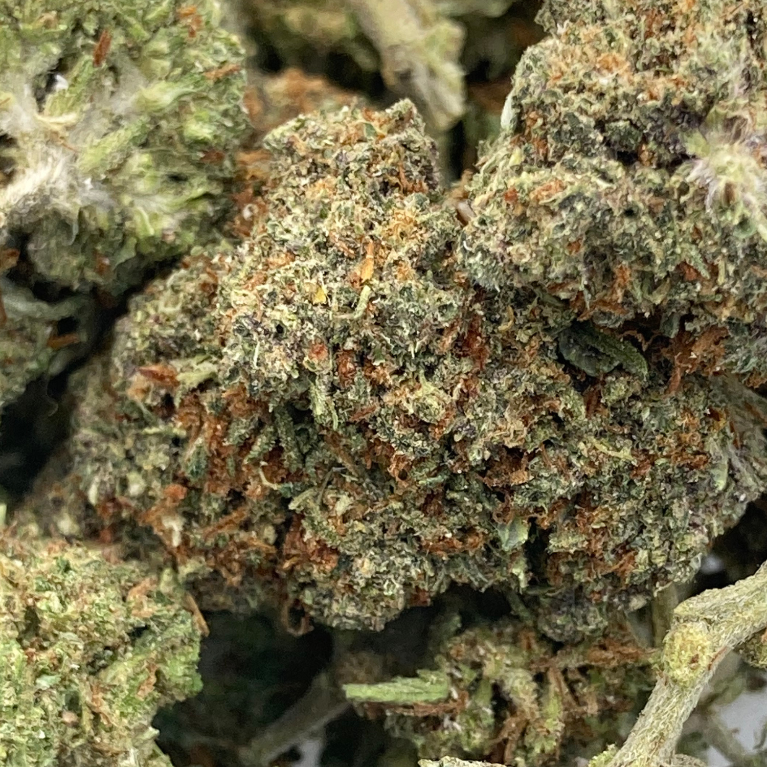 Orange Zkittlez Greenhouse Premium