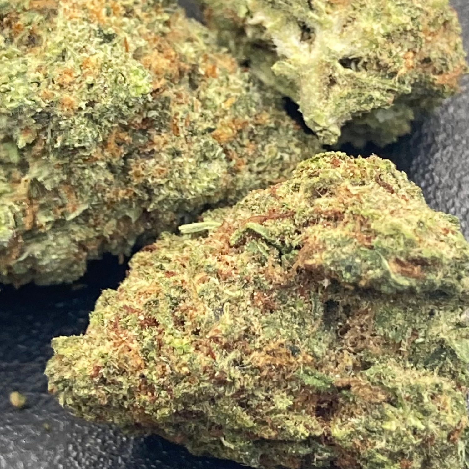 Orange Zkittlez Greenhouse Premium