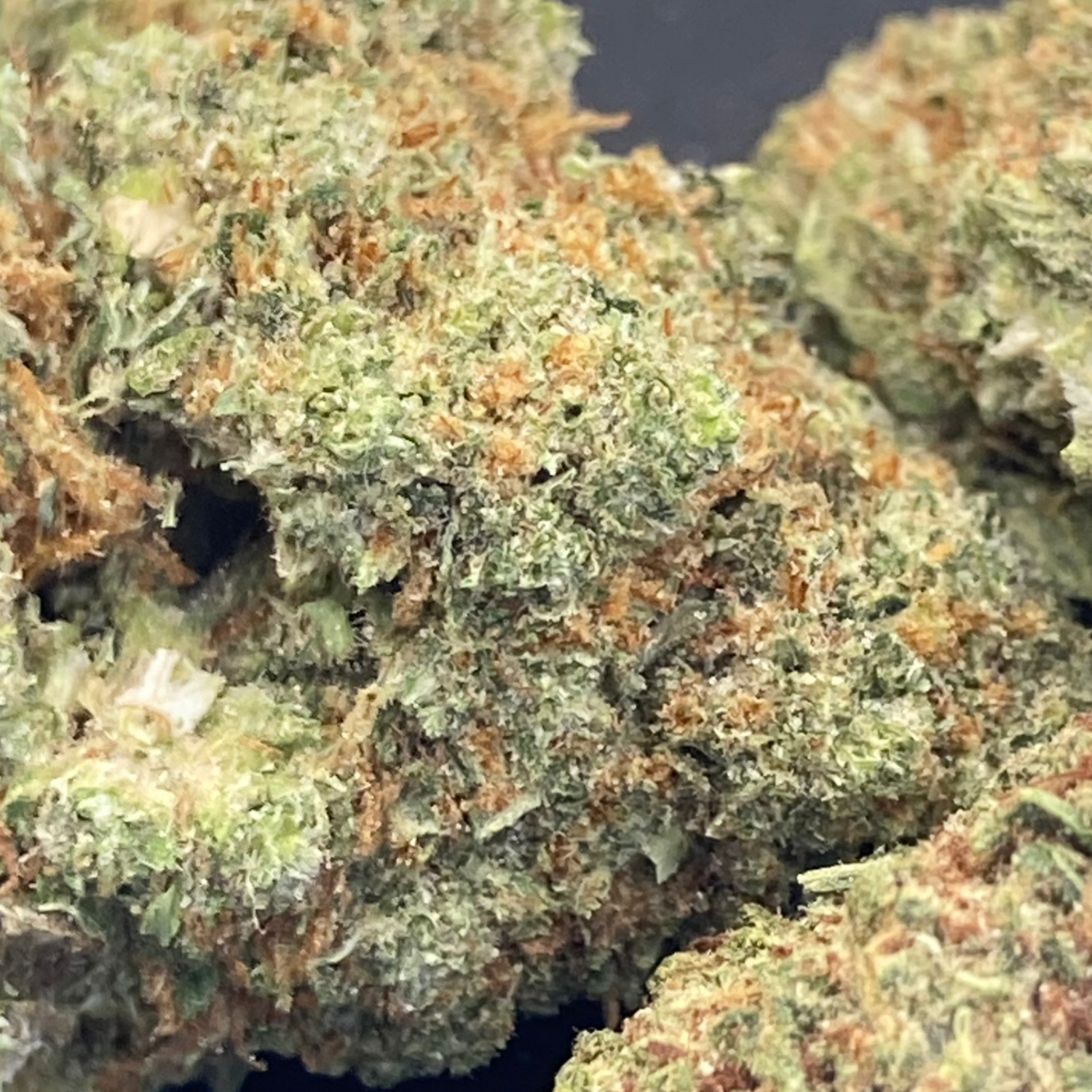 Orange Zkittlez Greenhouse Premium