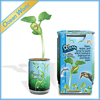 Ocean World Growing Kit Magic Plant Treasures