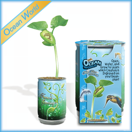 Ocean World Growing Kit Magic Plant Treasures