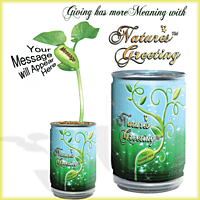 Zoo World Growing Kit Magic Plant Treasures