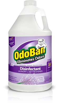 odoban lavanda odoban lavanda