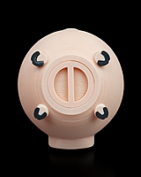 Oinkcome - Coin Bank