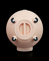 Oinkcome - Coin Bank