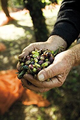 1 Litre Extra Virgin Olive Oil
