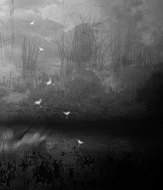 Once the world was full of wonders by Michelle