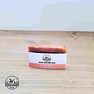 Orange Spice Goat Milk Soap (Travel)