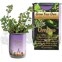 Oregano Herbs Growing Kit