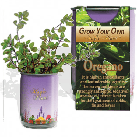 Oregano Herbs Growing Kit