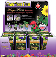 Oregano Herbs Growing Kit