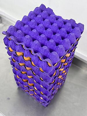 Organic free-range eggs Grade A 360 pack Dubai UAE Organic free-range eggs Grade A 360 pack Dubai UAE