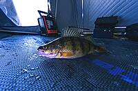 Otter Shelter Floor Tile Kit