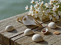 Large Shell Pendant With Gold and Emerald Accents