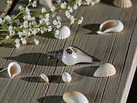 Shell Pendant with Silver and Purple accents