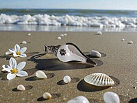 Shell Pendant with Silver and Purple accents