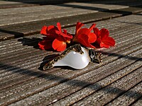 Shell Pendent Black and Red Shell Pendent Black and Red