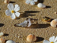 Small Shell Pendant with gold accents