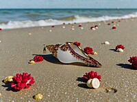 Shell Pendant Purple, Orange, and Gold Accents Shell Pendant Purple, Orange, and Gold Accents