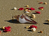 Shell Pendant Purple, Orange, and Gold Accents Shell Pendant Purple, Orange, and Gold Accents