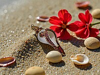 Shell Pendant Purple, Orange, and Gold Accents Shell Pendant Purple, Orange, and Gold Accents