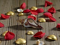 Shell Pendant Purple, Orange, and Gold Accents Shell Pendant Purple, Orange, and Gold Accents