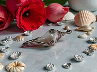 Shell Pendant with Silver, Red, and Teal Accents Shell Pendant with Silver, Red, and Teal Accents