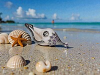 Shell Pendant with Silver and Purple Shell Pendant with Silver and Purple