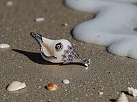 Shell Pendant with Silver and Purple Shell Pendant with Silver and Purple