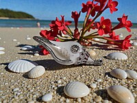Shell Pendant with Silver Accents and Red Gemstones