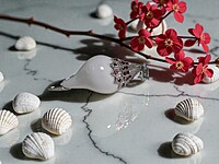 Shell Pendant with Silver Accents and Red Gemstones