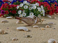 Shell Pendant with Gold, Pink, and Green Accents