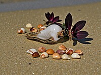 Shell Pendant with Black accents and Red Gemstones