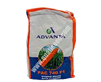 YELLOW MAIZE PAC 740