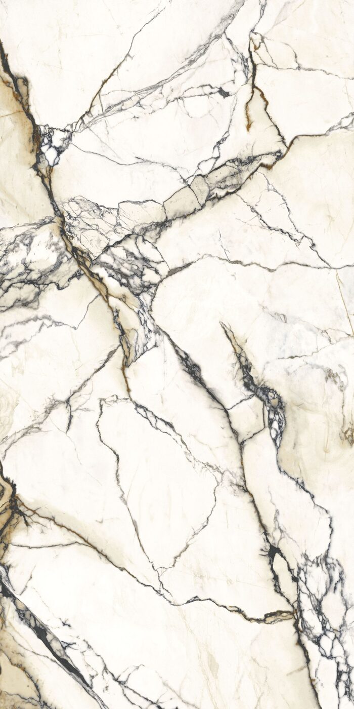 Gresie NUOVOCORSO, PAONAZZETTO REALE POLISHED 120x278, 6.5mm