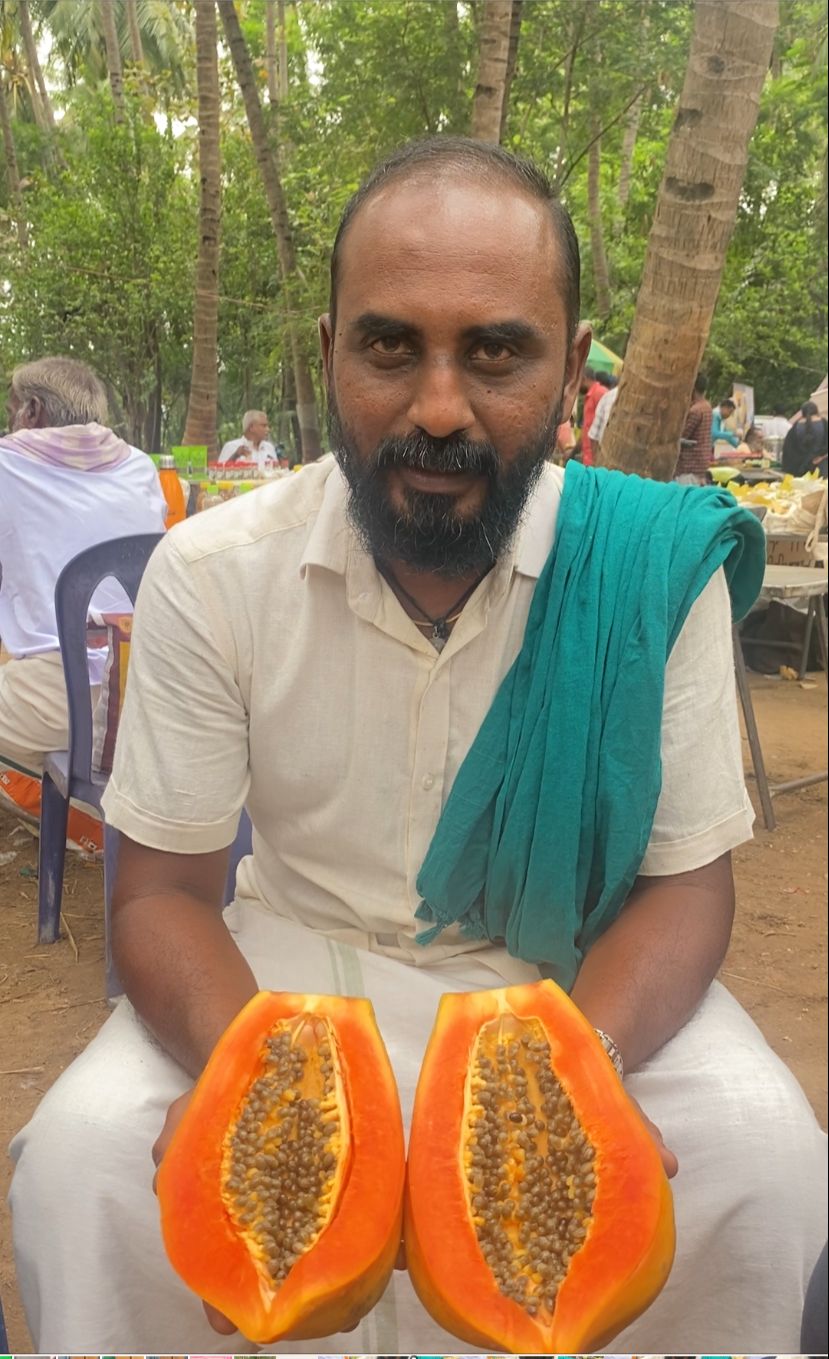 PAPPAYA (பப்பாளி)