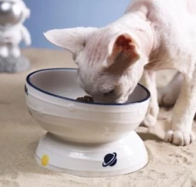 Elevated Tilted Ceramic Cat Bowl with Anti Slip Stand Ergonomic Feeding Bowl