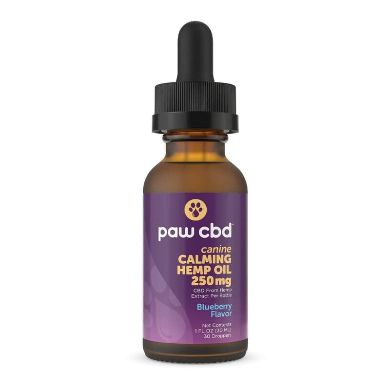 PAW CBD CANINE CALMING OIL | 250MG | BLUEBERRY FLAVOR
