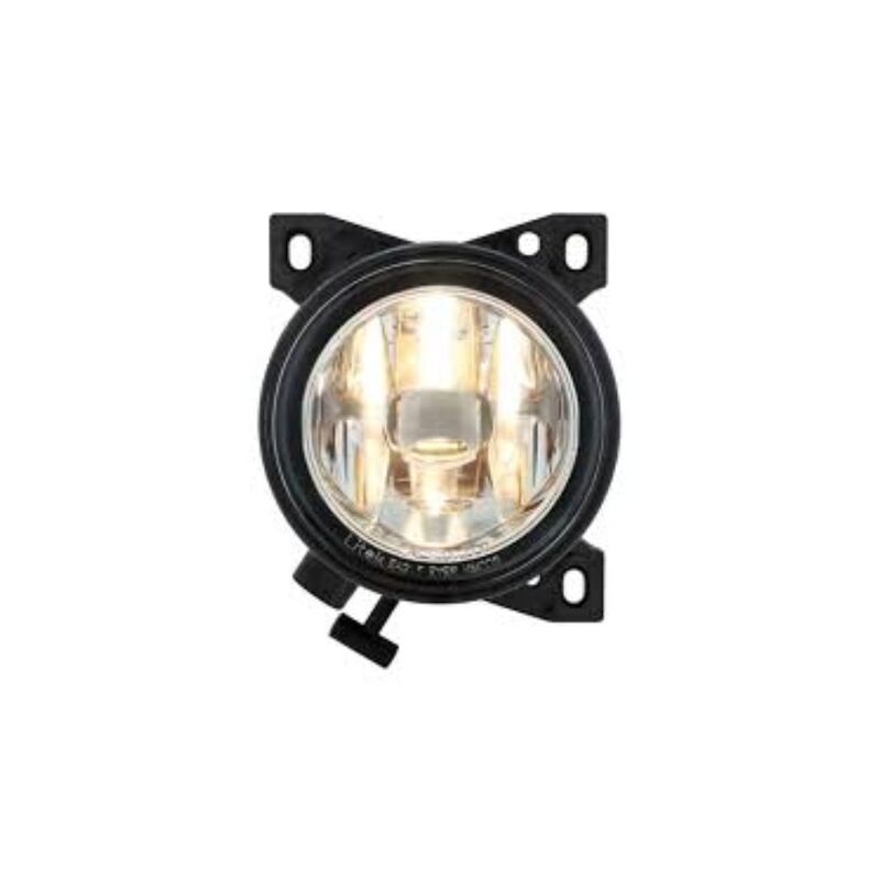 Fog Light